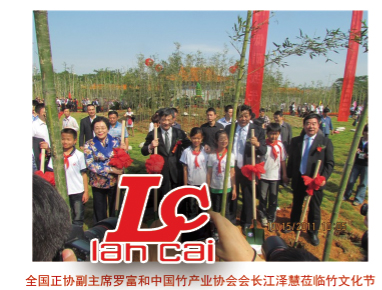 展覽會 全國政協主席羅富和江澤